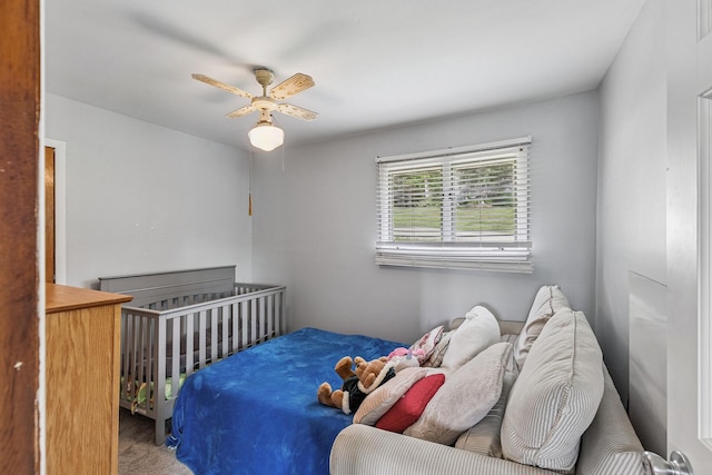 317 6th St E, Carver, MN 55315 - photo 18