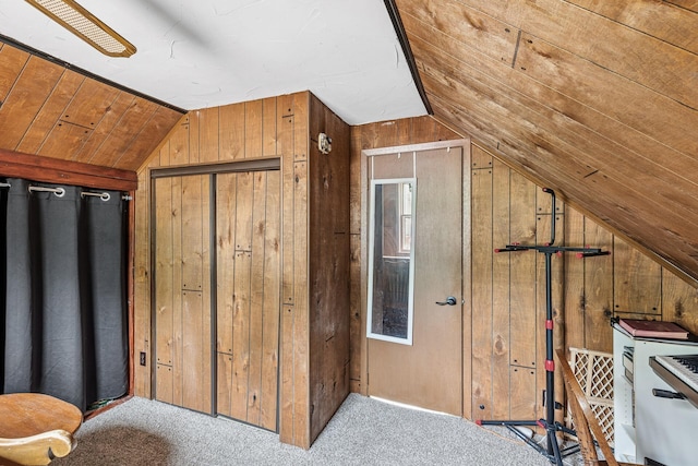 317 6th St E, Carver, MN 55315 - photo 20
