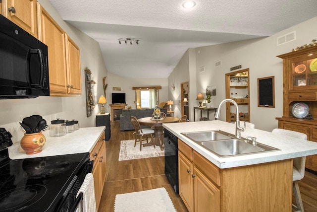 15229 Cobalt St NW, Ramsey, MN 55303 - kitchen with black appliances, a sink, lofted ceiling, light countertops, and dark wood-style flooring