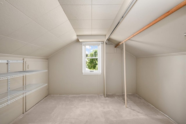 4027 24th Ave S, Minneapolis, MN 55406 - bonus room with carpet flooring and vaulted ceiling