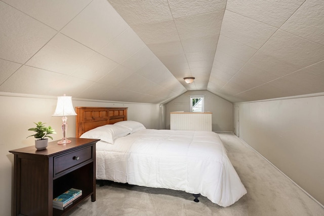 4027 24th Ave S, Minneapolis, MN 55406 - carpeted bedroom featuring vaulted ceiling