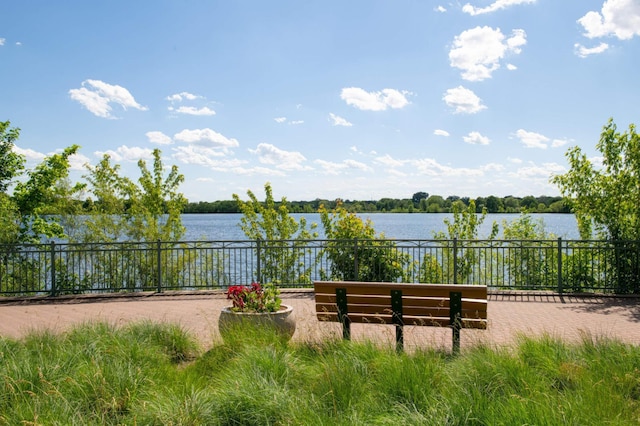 4027 24th Ave S, Minneapolis, MN 55406 - water view