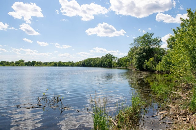 4027 24th Ave S, Minneapolis, MN 55406 - water view featuring a heavily wooded area