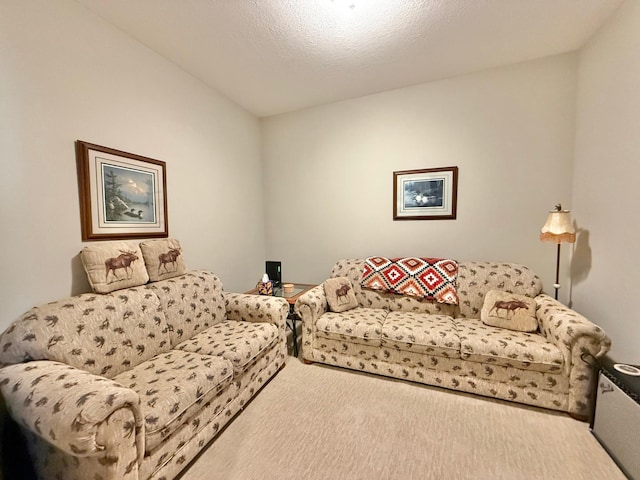 910 Lake Forest Cir, Detroit Lakes, MN 56501 - living room featuring carpet floors