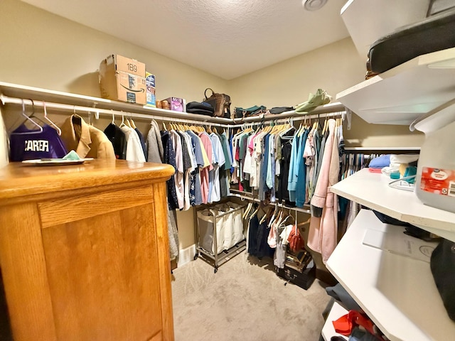 910 Lake Forest Cir, Detroit Lakes, MN 56501 - spacious closet with carpet