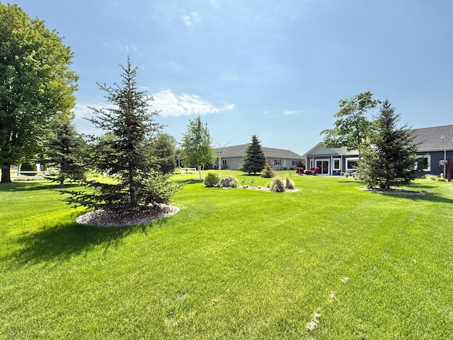 910 Lake Forest Cir, Detroit Lakes, MN 56501 - view of green lawn