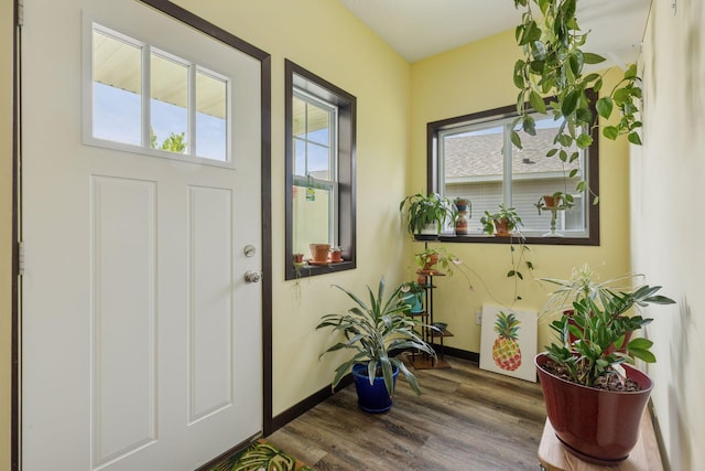 134 9th Ave NE, Isanti, MN 55040 - foyer entrance featuring plenty of natural light, wood finished floors, and baseboards