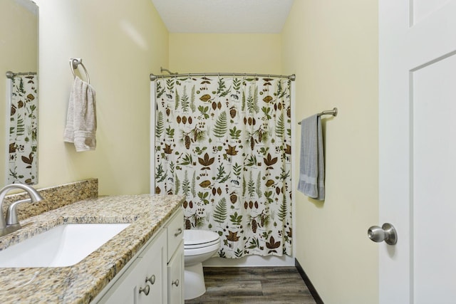 134 9th Ave NE, Isanti, MN 55040 - bathroom with vanity, wood finished floors, toilet, and a shower with shower curtain