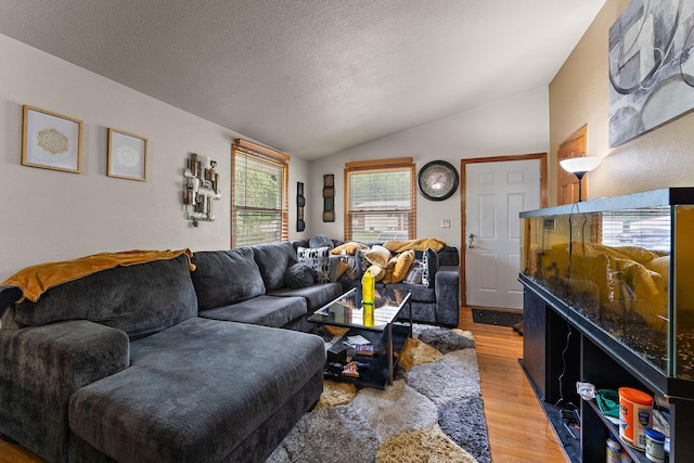 239 Buron Ln S, Saint Paul, MN 55075 - living area featuring lofted ceiling, light wood-style flooring, and a textured ceiling