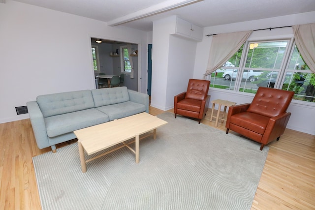 1423 Cedar St, Alexandria, MN 56308 - living area featuring light wood-style flooring, baseboards, and beamed ceiling