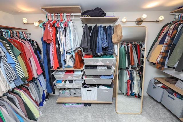 1423 Cedar St, Alexandria, MN 56308 - walk in closet with carpet floors