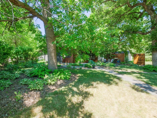 1423 Cedar St, Alexandria, MN 56308 - view of yard