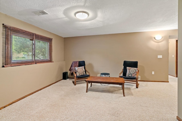 8474 Sunnyside Rd, Mounds View, MN 55112 - sitting room featuring carpet floors, a textured ceiling, and baseboards