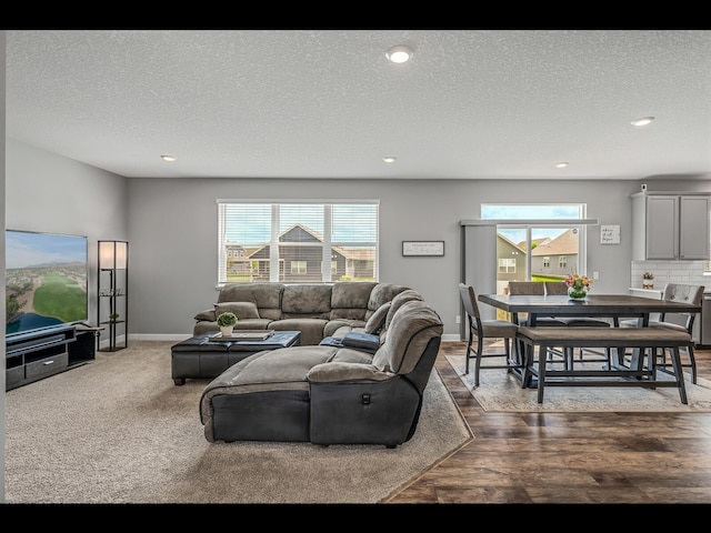 1750 Astoria Dr, Shakopee, MN 55379 - living area with plenty of natural light, baseboards, a textured ceiling, and recessed lighting