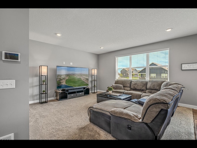 1750 Astoria Dr, Shakopee, MN 55379 - carpeted living area featuring baseboards, a textured ceiling, and recessed lighting