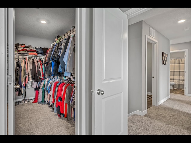 1750 Astoria Dr, Shakopee, MN 55379 - walk in closet with carpet flooring