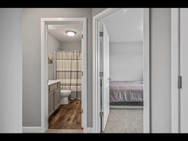 1750 Astoria Dr, Shakopee, MN 55379 - bathroom with a textured ceiling, vanity, wood finished floors, toilet, and curtained shower