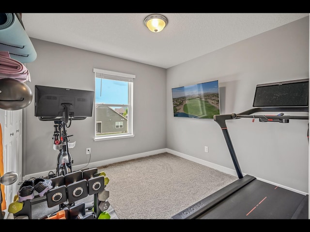 1750 Astoria Dr, Shakopee, MN 55379 - workout room featuring carpet floors and baseboards