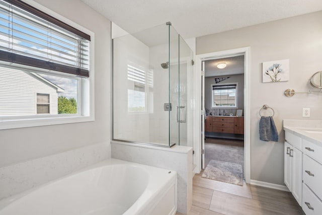 13543 Athena Way, Rosemount, MN 55068 - bathroom with vanity, a bath, and a stall shower