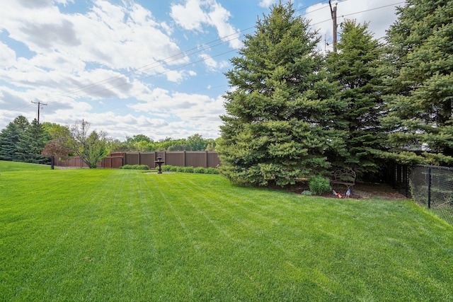 13543 Athena Way, Rosemount, MN 55068 - view of yard
