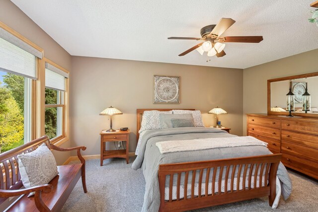 5215 203rd St W, Farmington, MN 55024 - photo 10