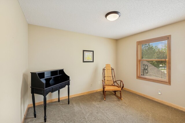 5215 203rd St W, Farmington, MN 55024 - photo 13