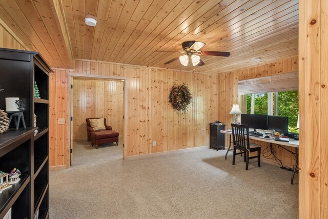 5215 203rd St W, Farmington, MN 55024 - photo 17