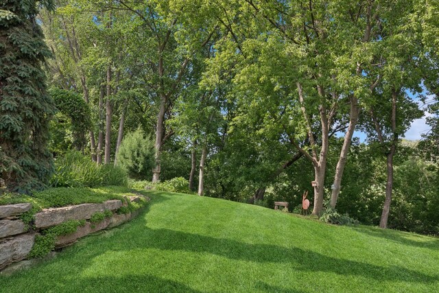 5215 203rd St W, Farmington, MN 55024 - photo 20