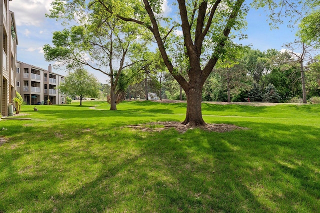 1225 Ferndale St N Unit B16, Maplewood, MN 55119 - view of green lawn