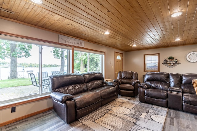 13914 Elmer Hanson Dr SE, Woodside Twp, MN 56736 - living area featuring healthy amount of natural light, wooden ceiling, wood finished floors, and recessed lighting