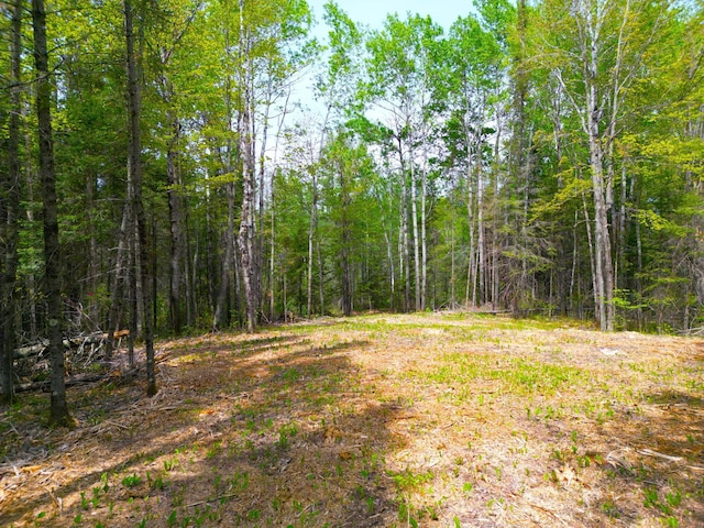 72XX E Central Lakes Rd Unit Lot G, Eveleth, MN 55734 - photo 1