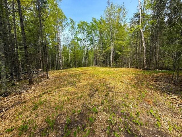 72XX E Central Lakes Rd Unit Lot G, Eveleth, MN 55734 - photo 8