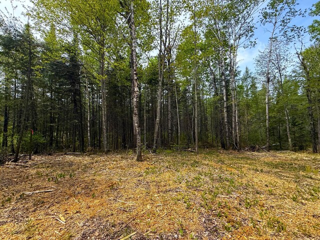 72XX E Central Lakes Rd Unit Lot G, Eveleth, MN 55734 - photo 9