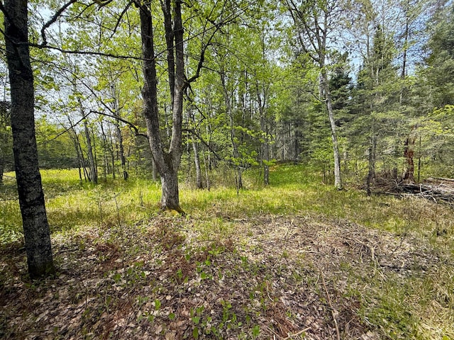 72XX E Central Lakes Rd Unit Lot G, Eveleth, MN 55734 - photo 10