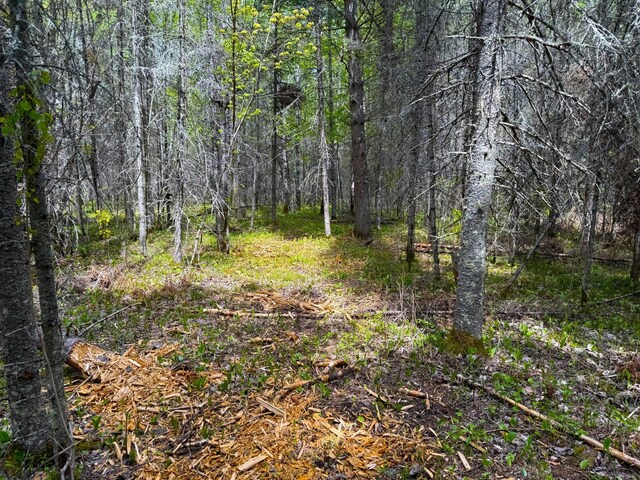 72XX E Central Lakes Rd Unit Lot G, Eveleth, MN 55734 - photo 11