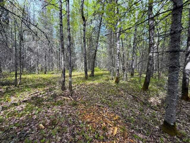 72XX E Central Lakes Rd Unit Lot G, Eveleth, MN 55734 - photo 12