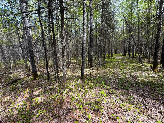 72XX E Central Lakes Rd Unit Lot G, Eveleth, MN 55734 - photo 13