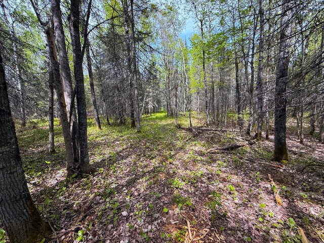 72XX E Central Lakes Rd Unit Lot G, Eveleth, MN 55734 - photo 14