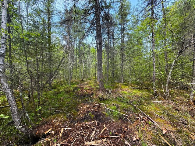 72XX E Central Lakes Rd Unit Lot G, Eveleth, MN 55734 - photo 15