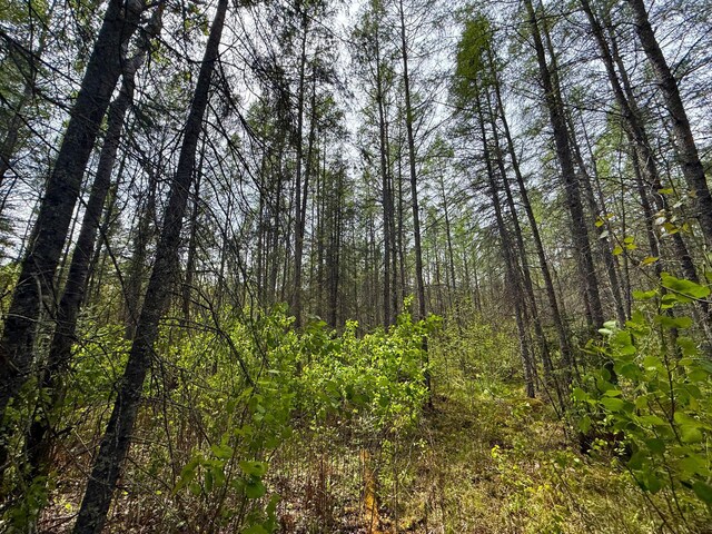 72XX E Central Lakes Rd Unit Lot G, Eveleth, MN 55734 - photo 16