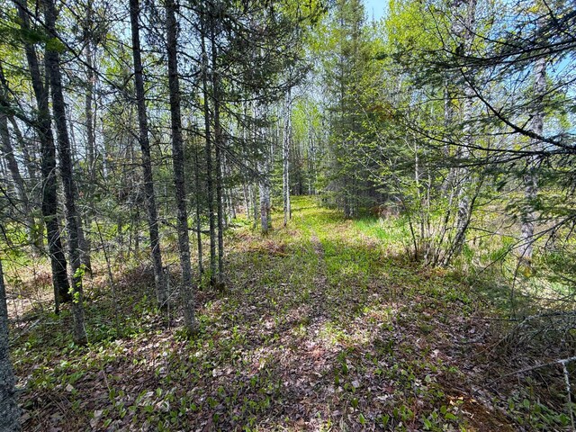 72XX E Central Lakes Rd Unit Lot G, Eveleth, MN 55734 - photo 17