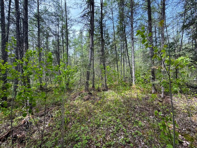 72XX E Central Lakes Rd Unit Lot G, Eveleth, MN 55734 - photo 18