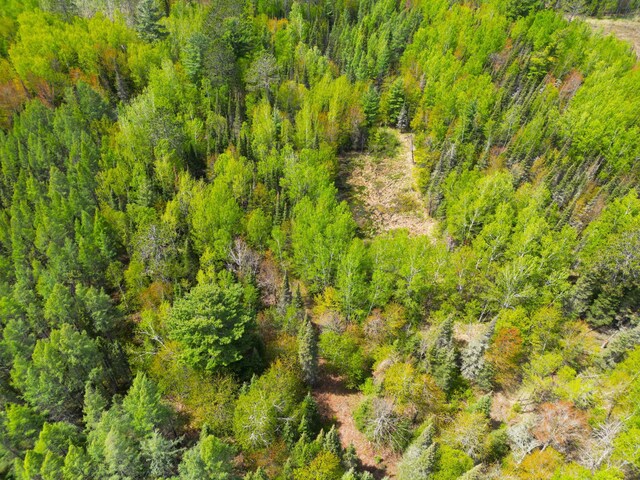72XX E Central Lakes Rd Unit Lot G, Eveleth, MN 55734 - photo 19