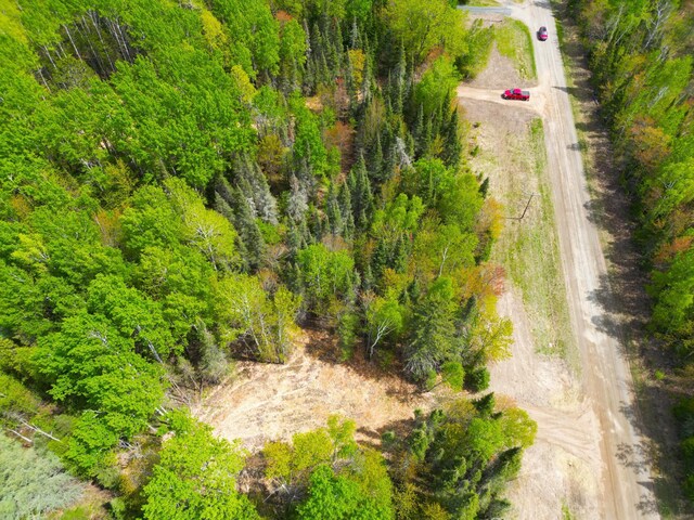 72XX E Central Lakes Rd Unit Lot G, Eveleth, MN 55734 - photo 20