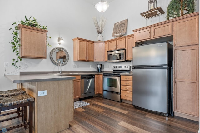 5512 Bishops Blvd S Unit D, Fargo, ND 58104 - kitchen with stainless steel appliances, dark wood finished floors, a peninsula, a breakfast bar area, and a towering ceiling