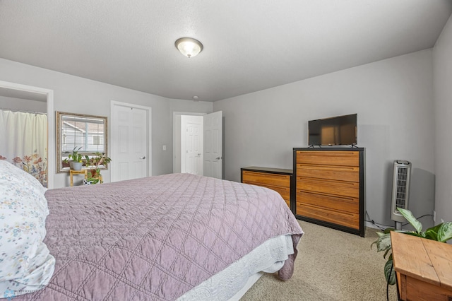 5512 Bishops Blvd S Unit D, Fargo, ND 58104 - view of carpeted bedroom