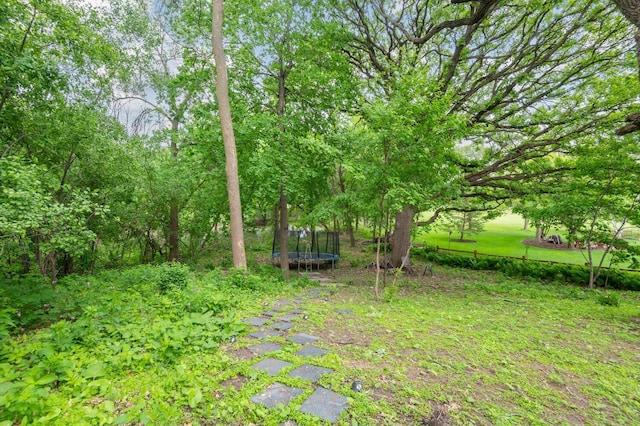 7423 Fawn Hill Rd, Chanhassen, MN 55317 - photo 38