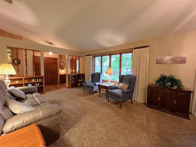 1715 Hansen Dr SW, Willmar, MN 56201 - view of carpeted living room