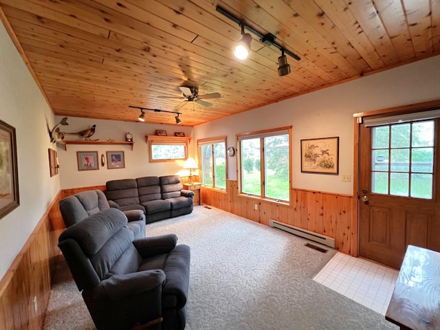 1715 Hansen Dr SW, Willmar, MN 56201 - living area with rail lighting, a baseboard heating unit, wainscoting, carpet, and wooden ceiling