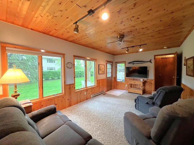 1715 Hansen Dr SW, Willmar, MN 56201 - carpeted living room featuring rail lighting, a wainscoted wall, baseboard heating, wooden ceiling, and wooden walls